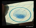 streptococcus pyogenes